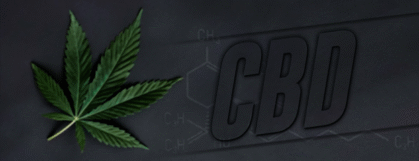 7 SEO Tips for Cannabis E-Commerce Stores