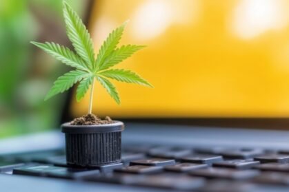 Cannabis Marketing
